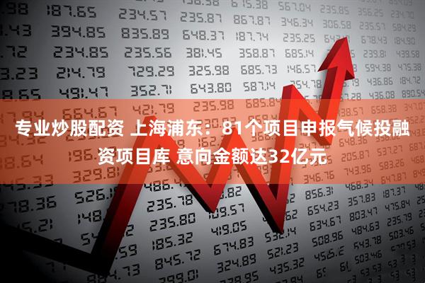 专业炒股配资 上海浦东：81个项目申报气候投融资项目库 意向金额达32亿元